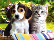 Diamond Painting - Kitten en Puppy